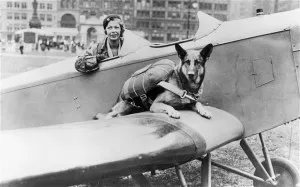 jumperii Câini de-al doilea război mondial