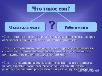 Сънища - отражение на човешката реалност и пътуване в паралелен свят