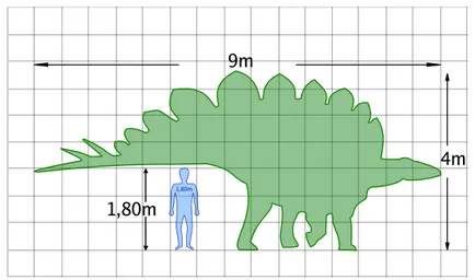 Stegosaurus - Stegosaurus, Stegosaurus, Stegosaurus fotografie Stegosaurus dinozaur poze, dinozaur on-line