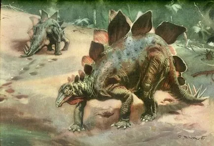 Stegosaurus - Stegosaurus, Stegosaurus, Stegosaurus fotografie Stegosaurus dinozaur poze, dinozaur on-line