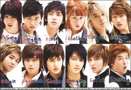 Super Junior, portal de divertisment