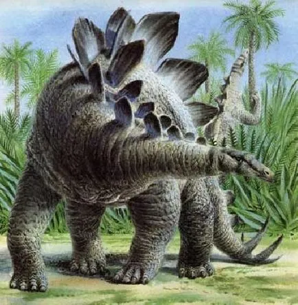 Stegosaurus jelenteni egy leírást az információs üzenet Fotó Videó csontváz