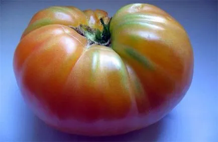 Tomate „mister al naturii“ - comentarii, fotografii, descrierea și caracteristicile soiurilor