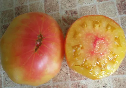 soiuri de tomate - un mister al naturii - care au plantat, recenzii, fotografii, descriere