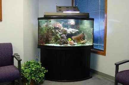 Ъглов аквариум като рационално решение на една малка стая интериор
