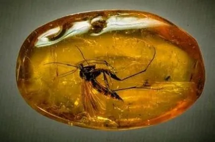 Amber - meleg kő