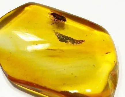 Amber - meleg kő