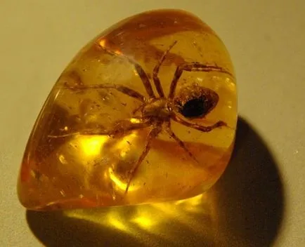 Amber - meleg kő