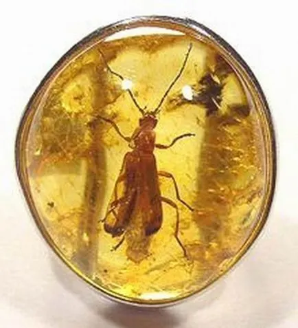 Amber - meleg kő