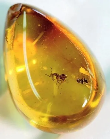 Amber - meleg kő