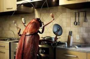 Конспирации против хлебарки в апартамента и къщата - 100% от помощ