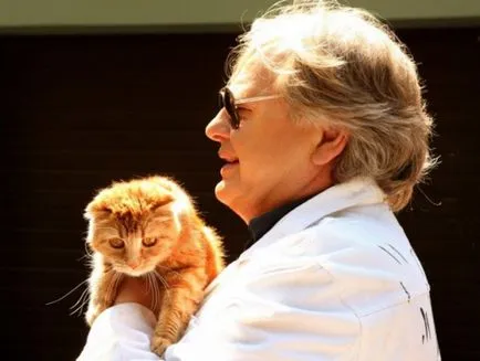 Yuri Antonov și împărăția lui feline! Fondul de caritate pentru bunăstarea animalelor „găsit“
