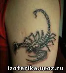 Înțeles tatuaj semn zodiacal „Scorpion“