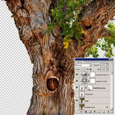 Asigurați-un copac strigând folosind Photoshop