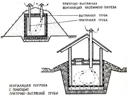 pivniță Earthen pe site-ul (casă de țară), caz țară