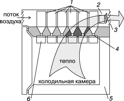 3 Cel mai bun termoelectric Autorefrigerator ce model sa cumpere, dispozitiv, demnitate,