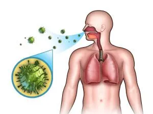 Bacteriile din aer, care are vedere ca viu