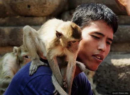 Siguranța în Thailanda