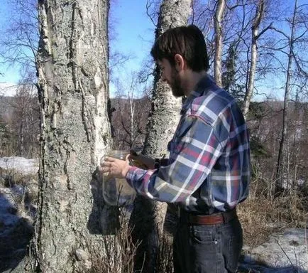 Birch квас - един много полезен опреснителен