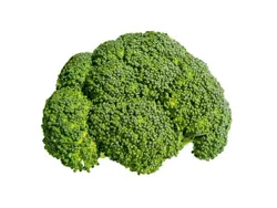 Broccoli nu ar trebui să fie în contact cu apa de fierbere - - week-end Ucraina - Kommersant