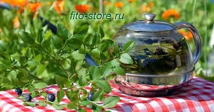 Tea készült levelei áfonya - nagyon finom és egészséges ital, egészség és szépség otthon