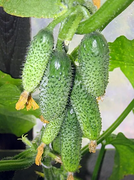 buchet parfumat