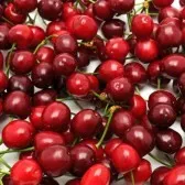 Cherry în Siberia, roșii în creștere în cabana de vară