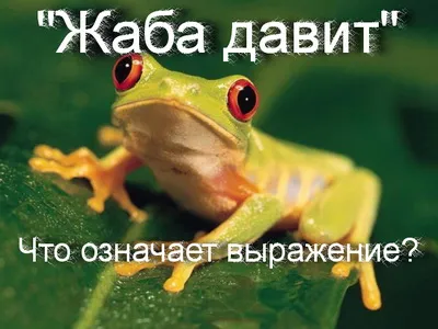 Какво означава това - преси жаба казват защо - жабата натрошени, което означава,