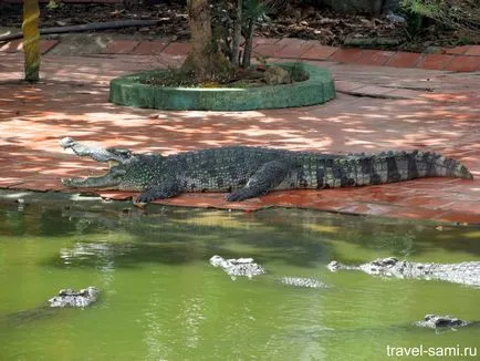 Ce să vezi în Saigon parc pentru o zi Suoi tien din Saigon, un blog de călătorie Sergey Dyakov