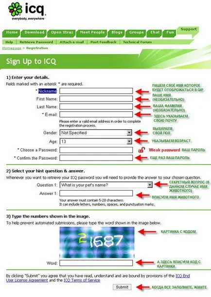 Ce este icq, și cum pentru a obține numărul de ICQ - software-ul - programe