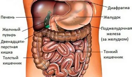 A destruktív pancreatitis mi ez, és hogyan kell kezelni pancreatitis