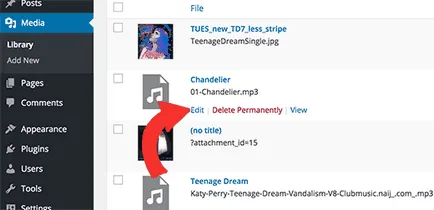 Hozzátéve audio fájlokat és a lejátszási listák létrehozásához a wordpress, minden a wordpress