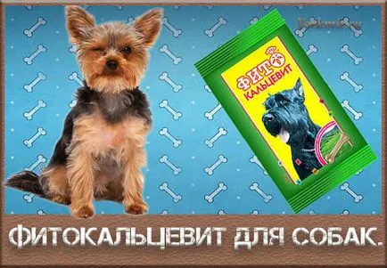 Fitokaltsevit pentru câini, instrucțiuni de utilizare