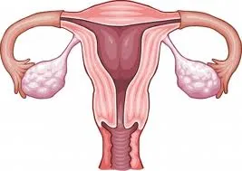 Folliculoma simptome de ovar si optiuni de tratament