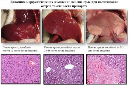 Csoport szövettani és pathologia csoport kutatóintézetek