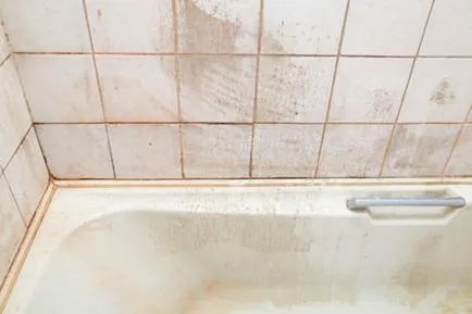 Ciuperca în sfaturi cameră baie cum să-și recapete fosta baie de luciu