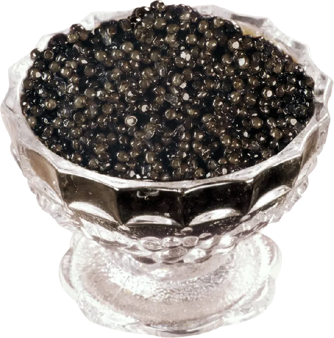 caviar cegă