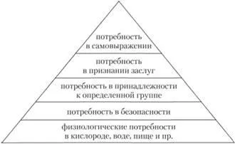 Първоначалните концепции на маркетинга нужда, желание, търсенето, пазар, продукт, обмяна на продукт, транзакция