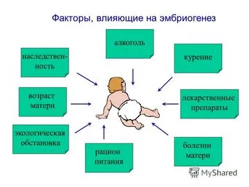 Какви фактори влияят на развитието на човешкия ембрион - красива мода