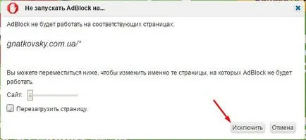 Как да добавите сайт към списъка с разрешени адреси и изключва блокирането AdBlock опера реклама