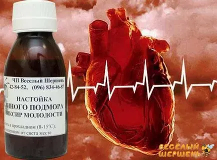 Cum de a trata cardiovasculare albine boala Podmore