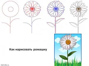 Как да се направи ваза с астри етапи молив - как да се направи ваза картина етапи ваза