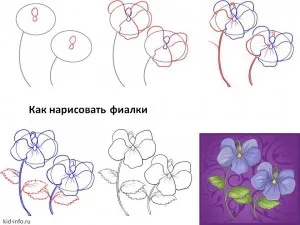 Как да се направи ваза с астри етапи молив - как да се направи ваза картина етапи ваза