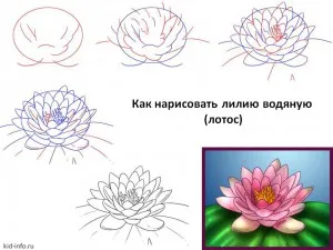 Как да се направи ваза с астри етапи молив - как да се направи ваза картина етапи ваза