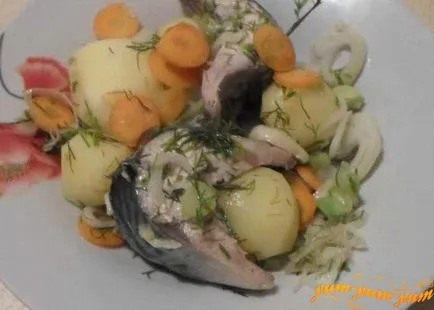 Как да се готви скумрия в двойна котел със зеленчуци рецепта