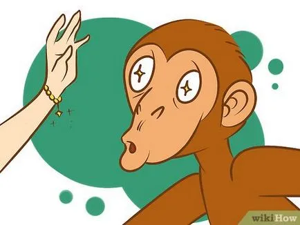 Hogyan lehet megelőzni, és túlélni a támadás a majmok