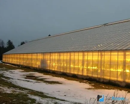 Cum de a face iluminatul în seră, cu mâinile lor