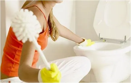 Cum de a elimina o piatră în instrucțiunile de toaletă video pe modul de a elimina propriile mâini, decât pentru a curăța preț mai bun,