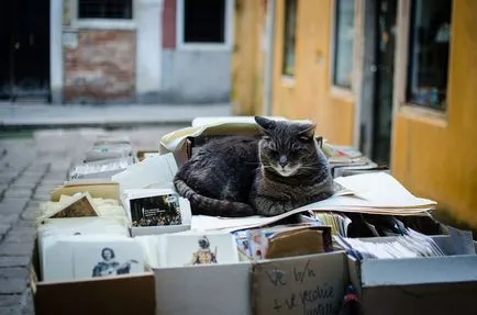 10 librării sugerarea, Ceasul de călătorie