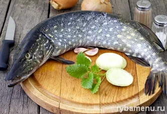 Hogyan kell főzni egy csuka egy lépésről lépésre recept fényképek, menük, hal